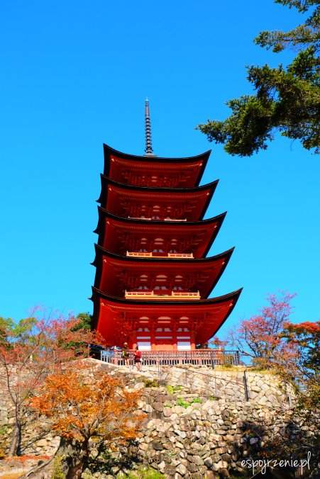 DSCF8109.JPG