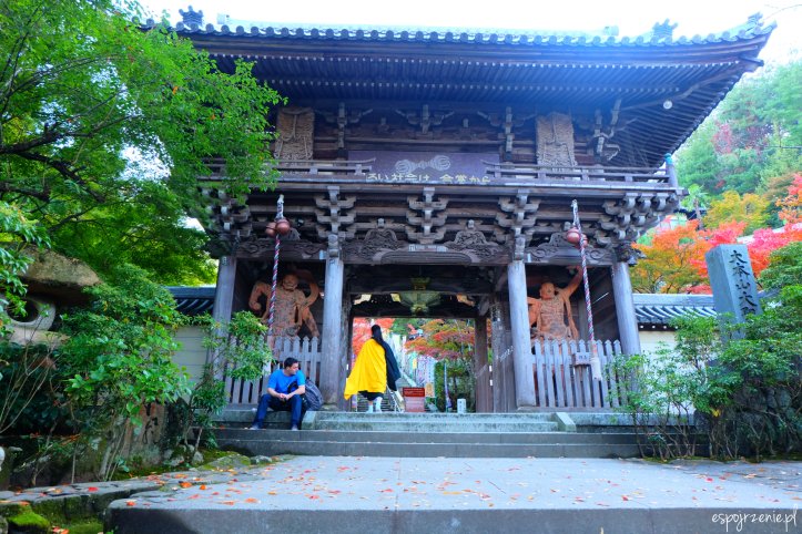 DSCF8177.JPG