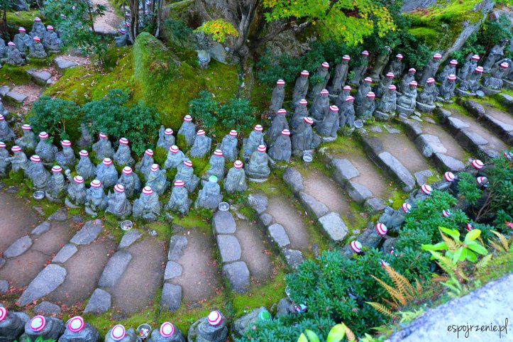 DSCF8195.JPG