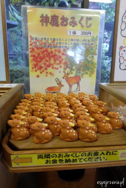 DSCF8228.JPG