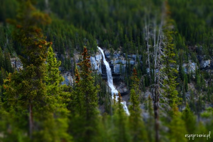 DSCF1115.JPG