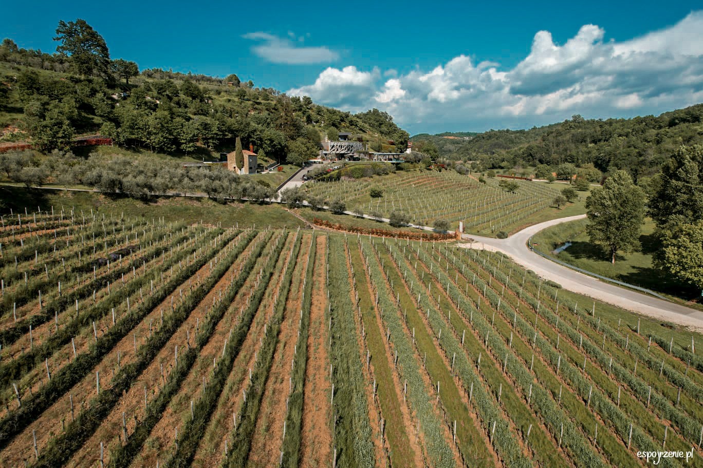 cd3a8ff8-86a8-46b6-bd82-e036d97201f9