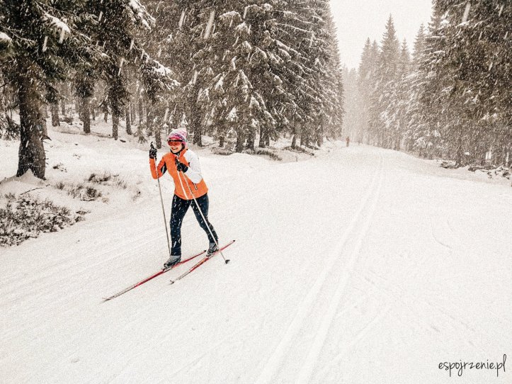 6b2dfc90-98b6-4e89-ba56-c911a44bc785