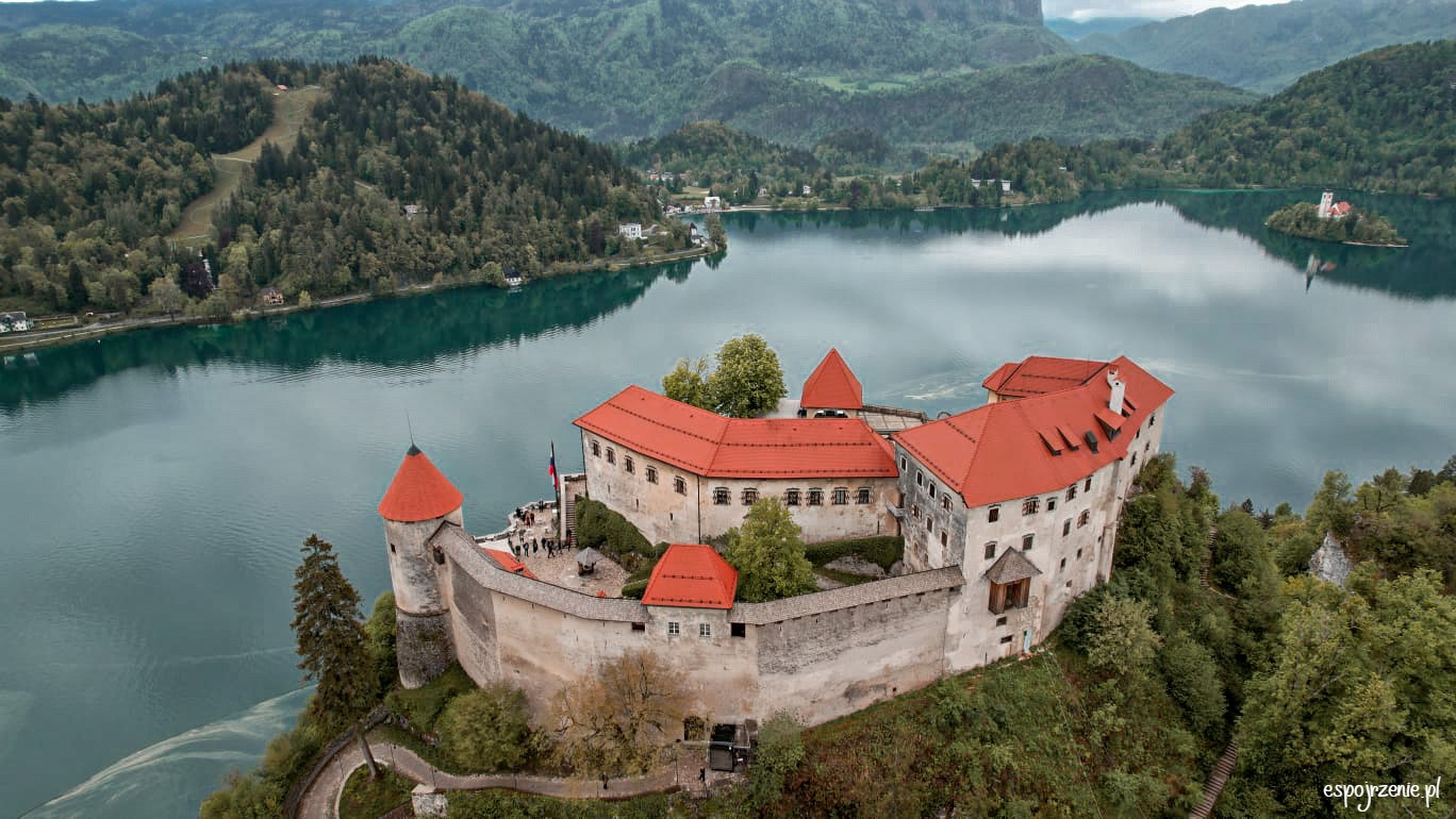 680568a7-07d7-4bf2-8d76-29e73099d07e (1)