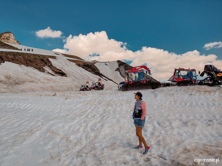 94ddeb6c-d34a-4f1b-9135-69049fc5a59d