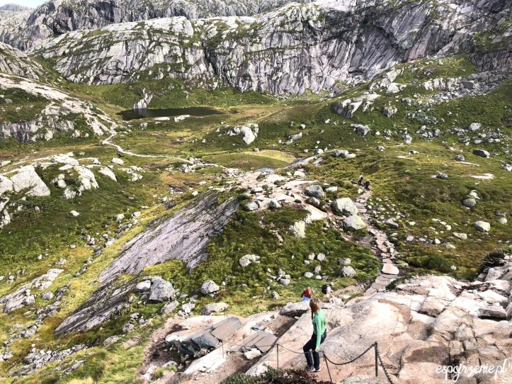 c38e42a0-d143-4133-8df5-ef3fd3f0cf20 (1).jpg