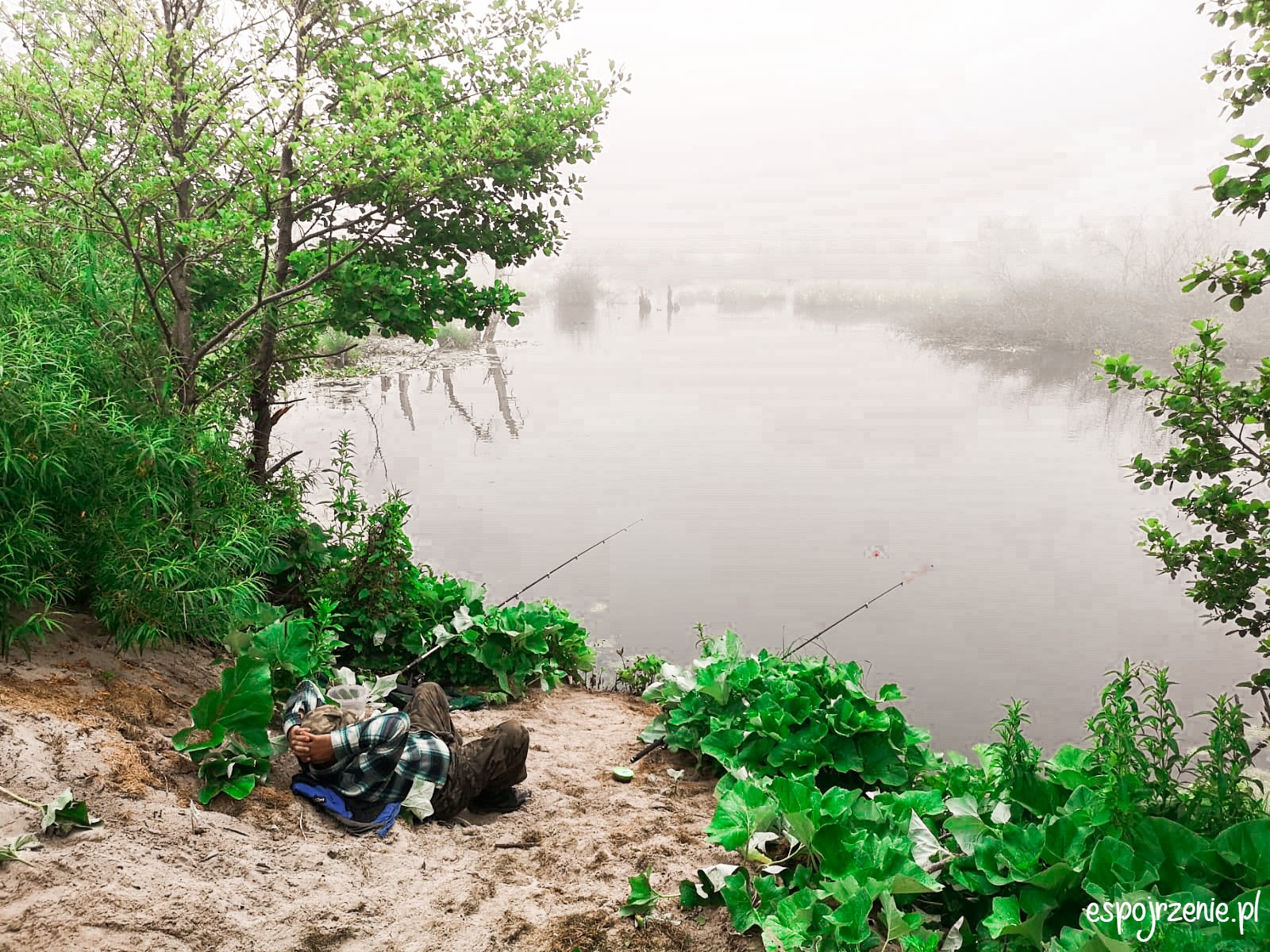 2b7d4da5-069e-4318-b462-880f494b63c8 — kopia (1)